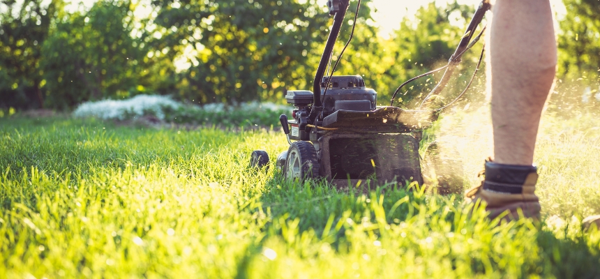 16 Gras maaien? Dit zijn de 5 onmisbare tips!